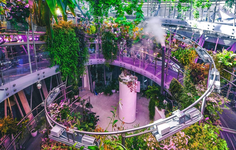 Достопримечательности парка «Зарядье». Заповедное посольство Достопримечательности парка «Зарядье». Заповедное посольство